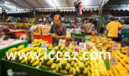 国产精品香蕉,甜蜜滋味，健康之选